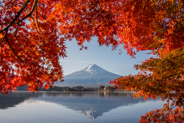 富士河口湖富士山與秋季紅葉